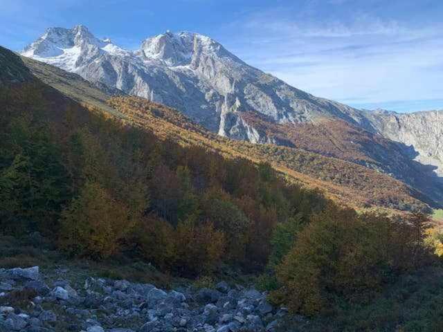 Cumbres De Los Picos Apartamento La Yedra Poo  Zewnętrze zdjęcie